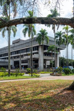 Pereira, Risaralda, Kolombiya. 3 Şubat 2022: Ağaçlı Risaralda Devlet Binası. 