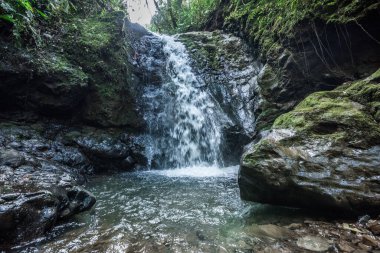Cerro Bravo 'daki şelale ormanın ortasında. Venedik, Antioquia, Kolombiya.
