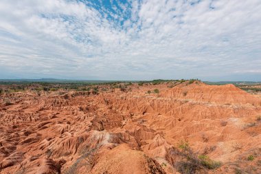 Kızıl çöl manzarası, çalılar ve mavi gökyüzü. Tatacoa Çölü, Huila, Kolombiya.