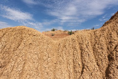Kızıl çöl manzarası, çalılar ve mavi gökyüzü. Tatacoa Çölü, Huila, Kolombiya.