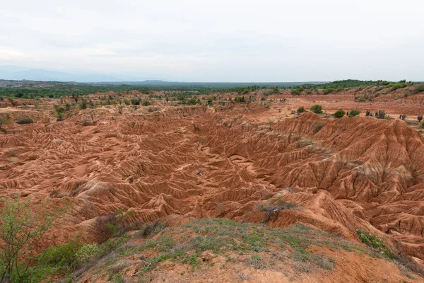 Landscape Red Desert Bushes Blue Sky Tatacoa Desert Huila Colombia — Stock Photo, Image