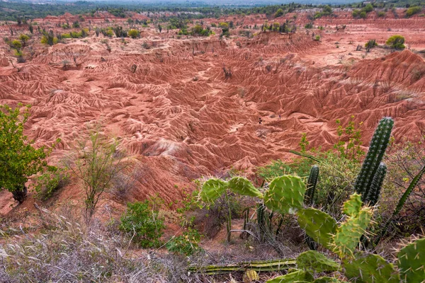 Kızıl Çöl Manzarası Çalılar Mavi Gökyüzü Tatacoa Çölü Huila Kolombiya — Stok fotoğraf