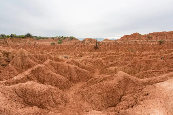 Paisaje Desierto Rojo Con Arbustos Cielo Azul Desierto Tatacoa Huila — Foto de Stock