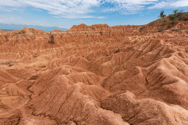 Landskap Den Röda Öknen Med Buskar Och Blå Himmel Tatacoaöknen — Stockfoto