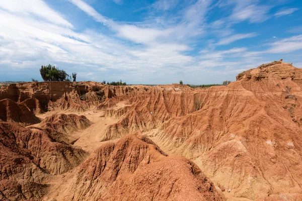 Paisaje Desierto Rojo Con Arbustos Cielo Azul Desierto Tatacoa Huila — Foto de Stock