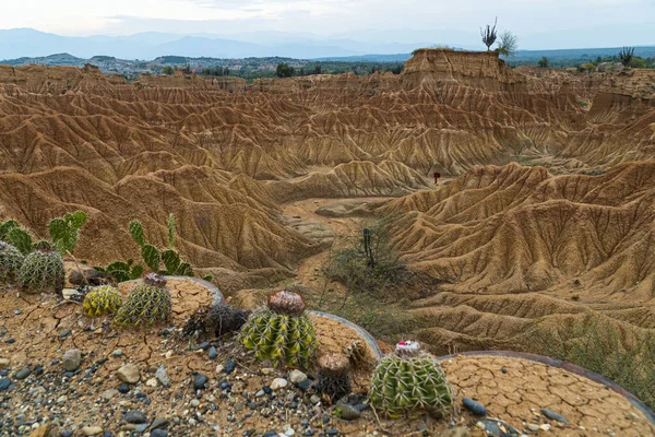 Tatacoa Desert Considered One Main Environmental Tourist Attractions Department Huila — Stock Photo, Image