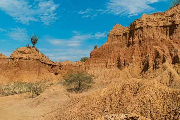 Landscape Red Desert Bushes Blue Sky Tatacoa Desert Huila Colombia — Stock Photo, Image