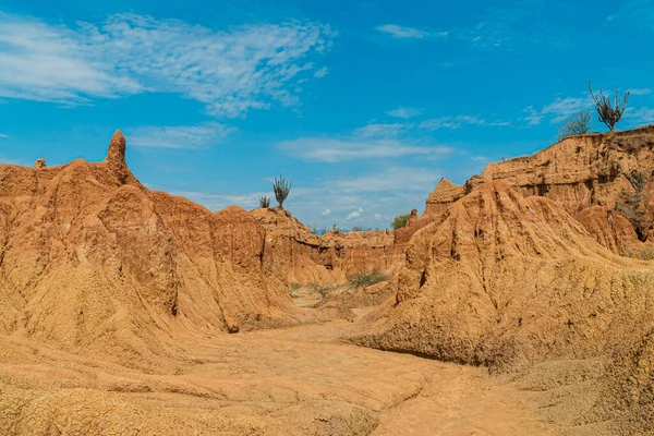 Landscape Red Desert Bushes Blue Sky Tatacoa Desert Huila Colombia — Stock Photo, Image