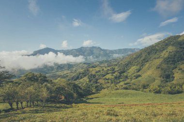 Tamesis 'teki panoramik manzara. Mavi gökyüzü ve ufukta dağ var. Kolombiya. 