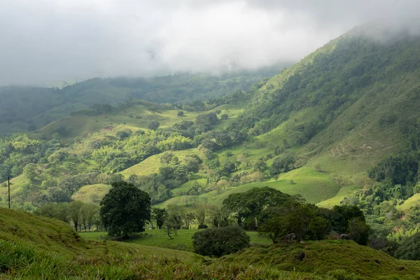 Camino Con Hierba Árboles Con Cielo Nublado Tamesis Antioquia Colombia — Foto de Stock