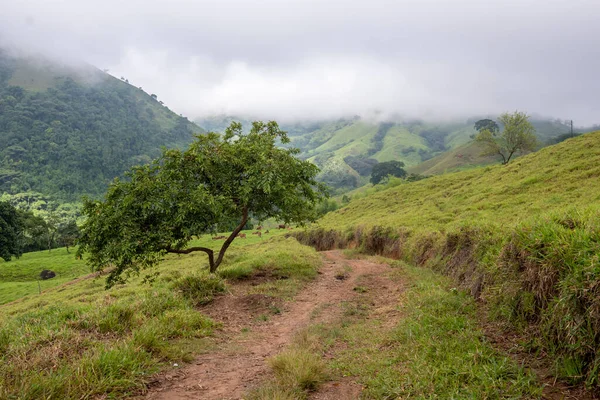 Camino Con Hierba Árboles Con Cielo Nublado Tamesis Antioquia Colombia — Foto de Stock