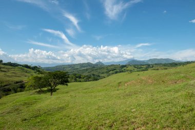Tamesis 'teki panoramik manzara. Mavi gökyüzü ve ufukta dağ var. Kolombiya