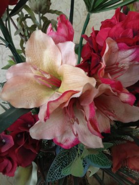 Süslü bitki çiçeklerinin fotoğrafı. 