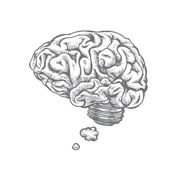 Χειροποίητη Διανυσματική Απεικόνιση Εγκεφάλου Και Ιδέας Απομονωμένα Λευκό — Διανυσματικό Αρχείο