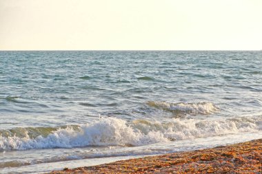 Güneşli bir yaz gününde gün batımında plaj. Sahilde deniz günbatımı manzarası. Deniz dalgası gün batımı renginde karaya çıktı. Batan güneşin ılık, yumuşak renklerinde. Dalgalar denize yuvarlanıyor.