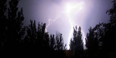 Parlak şimşek çizgileri, bir ağaç siluetiyle şehir caddesindeki mor gece gökyüzünü yırtıyor. Yıldırım gece ağaçlar arasındaki boşluğu vurur.