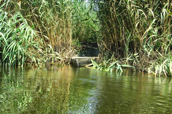 A lone boat in the reeds. Abandoned boat on the river without people. The loneliness of a fisherman. Couple is sailing at river in motor sloop boat