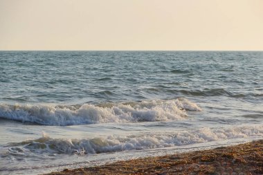 Güneşli bir yaz gününde gün batımında plaj. Sahilde deniz günbatımı manzarası. Deniz dalgası gün batımı renginde karaya çıktı. Batan güneşin ılık, yumuşak renklerinde. Dalgalar denize yuvarlanıyor.