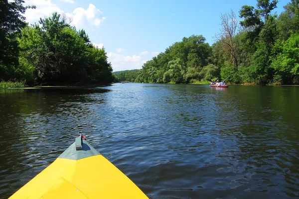 Nehirde güzel yosunlarla kano yaparken bir kızın ellerinde sarı kürek çekmek için bir kürek.