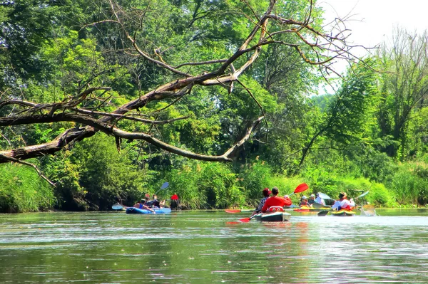 夏には数人の男女が川でカヤックをする アクティブなレクリエーション 家族旅行 極端な冒険 スポーツ 生態系の国内観光 — ストック写真