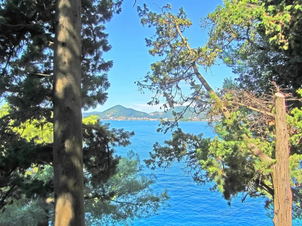 Karadağ Sveti Stefan Kenti Yakınlarındaki Çam Ağaçları Tarafından Çerçevelenmiş Mavi — Stok fotoğraf