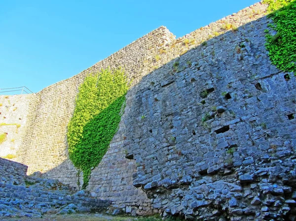 Ruins Ancient Fortress Old Thick Stone Walls European Fortress Overgrown — стокове фото