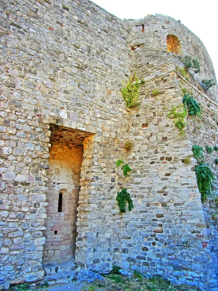 Ruins Ancient Fortress Old Thick Stone Walls European Fortress Overgrown — стокове фото