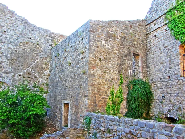 Ruinerne Gammel Fæstning Gamle Tykke Stenmure Europæisk Fæstning Tilgroet Med - Stock-foto
