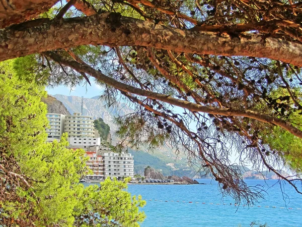 Prachtig Uitzicht Blauwe Adtiatische Zee Bergen Omlijst Door Pijnbomen Buurt — Stockfoto