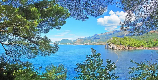 Prachtig Uitzicht Blauwe Adtiatische Zee Bergen Omlijst Door Pijnbomen Buurt — Stockfoto