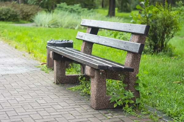 Wooden bench in the city park. Garden Bench in park with trees. A beautiful green city park in the spring