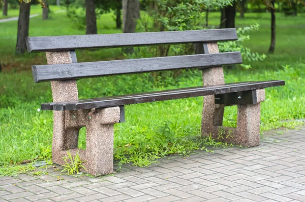 Wooden bench in the city park. Garden Bench in park with trees. A beautiful green city park in the spring