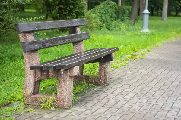 Wooden bench in the city park. Garden Bench in park with trees. A beautiful green city park in the spring