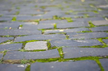 Yeşil Yosun 'lu Eski Çakıl Taşı Pavement Yolu' nun Soyut Arkaplanı. Bakış açısına göre taş kaldırım. Antika yosunlu kaldırım taşları. Alan derinliği