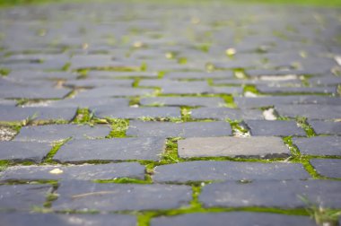 Yeşil Yosun 'lu Eski Çakıl Taşı Pavement Yolu' nun Soyut Arkaplanı. Bakış açısına göre taş kaldırım. Antika yosunlu kaldırım taşları. Alan derinliği