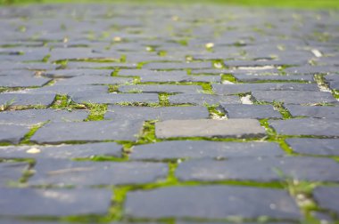 Yeşil Yosun 'lu Eski Çakıl Taşı Pavement Yolu' nun Soyut Arkaplanı. Bakış açısına göre taş kaldırım. Antika yosunlu kaldırım taşları. Alan derinliği