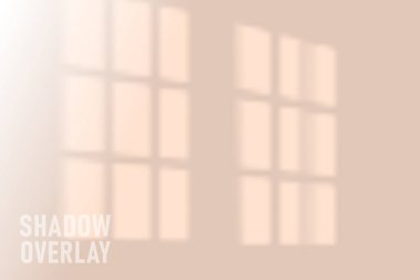 Gölge örtüsü etkisi. Pencerenin doğal gölgeleri şeffaf arkaplanda izole edilmiş. Vektör yumuşak gölge ve ışık örtüsü etkisi.