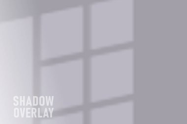 Gölge örtüsü etkisi. Pencerenin doğal gölgeleri şeffaf arkaplanda izole edilmiş. Vektör yumuşak gölge ve ışık örtüsü etkisi.