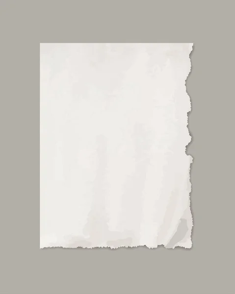 Gescheurd Papier Echt Bruin Papier Gescheurd Gescheurd Stukken Papier Grijze — Stockvector