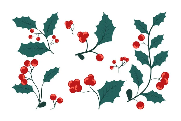 Рождественские Ягоды Холли Коллекция Красных Векторных Иллюстраций Белом Фоне — стоковый вектор
