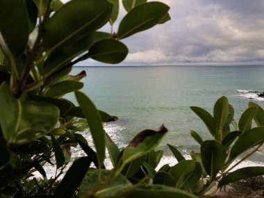 ufukta okyanus, mavi gökyüzü ve yeşil bitkiler