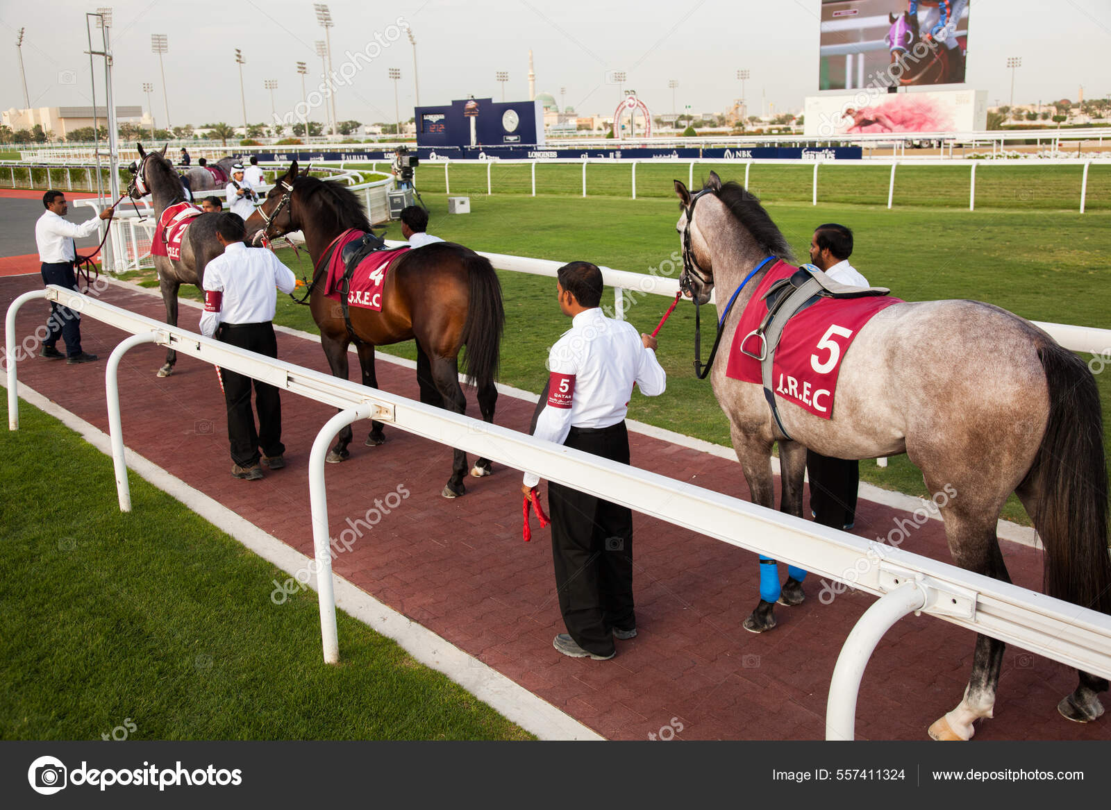 Доха Катар Апреля 2016 Года Катар Золотой Меч Скачки Фестиваль.