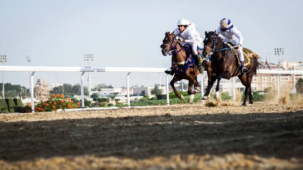Doha Qatar April 2016 Qatar Guld Svärd Hästkapplöpningsfestival 2016 Equestrian — Stockfoto