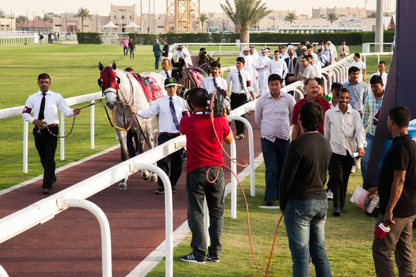 Doha Qatar Abril 2016 Festival Carreras Caballos Espada Oro Qatar —  Fotos de Stock