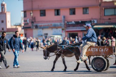 Marakeş, Fas - 28 Şubat 2022: Medine 'nin dar sokaklarında, eşek arabaları hala mal taşımak için kullanılıyor.