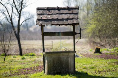 Çiftlikteki eski bir kuyu. Kırsal kesimde su çekmek için..