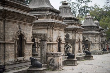 Katmandu, Nepal - Nisan 01.2022 Pashupatinath Tapınağı, Katmandu, Nepal 'de Bagmati Nehri' nde bulunan bir Hindu tapınağıdır..