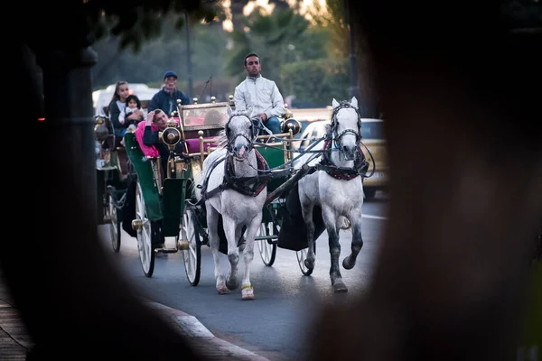 Marakeş, Fas - 28 Şubat 2018: Marakeş sokaklarında turist turu yapan arabalar.