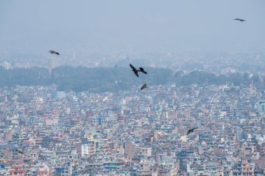 Katmandu, Nepal - 20 Nisan 2022: Katmandu şehrinin Swayambhunath stupasından panoramik üst görünümü.