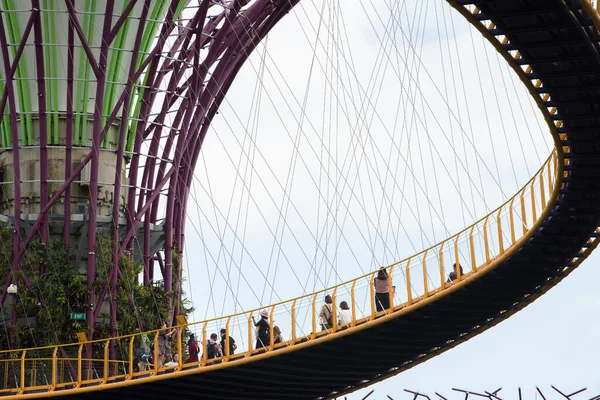 Singapore City Singapore September 2019 Tourists Tour Gardens Bay Nature — ストック写真